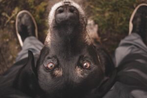 看護師とMRの年収はどちらが高い？