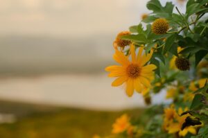 保健師の転職で年収をアップするためのポイントは？