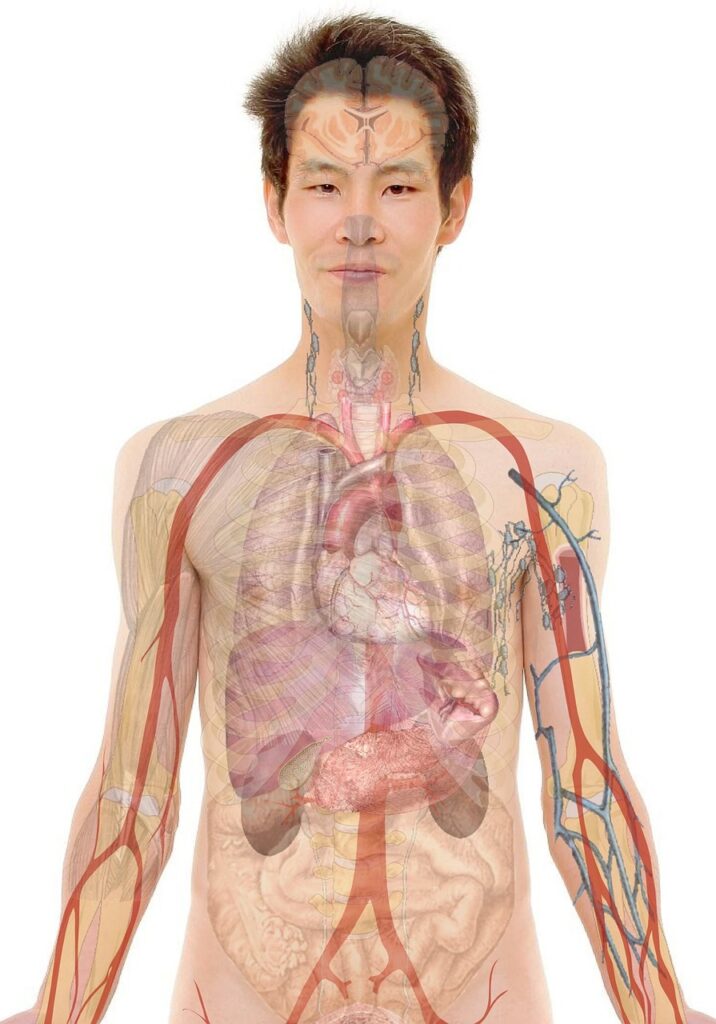 看護師の訪問看護で年収が高い理由とは？