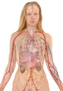 看護師長の年収はどれくらい？