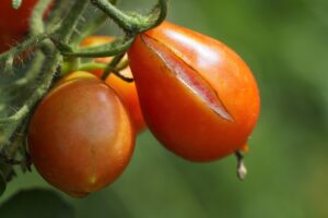 退職の理由を伝える方におすすめのポイントは？